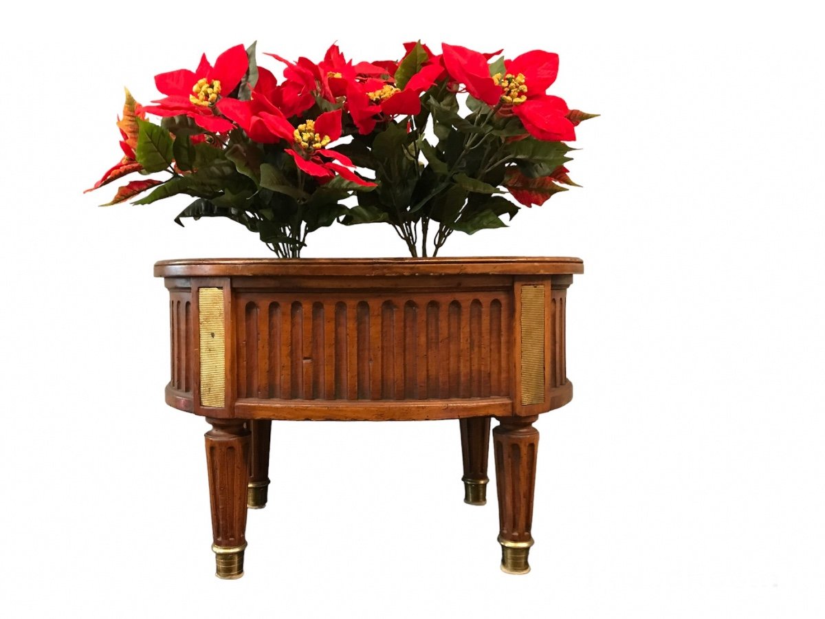 Louis XVI Style Beech Planter With Its Twentieth-century Interior Tray