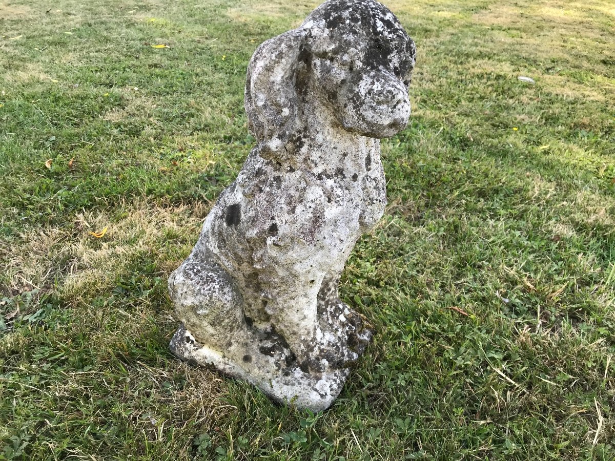 Small Dog In Reconstituted Stone XX Th Garden Or Terrace Decoration.-photo-2