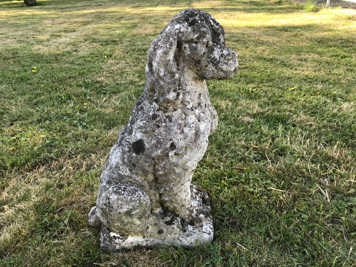 Small Dog In Reconstituted Stone XX Th Garden Or Terrace Decoration.-photo-3