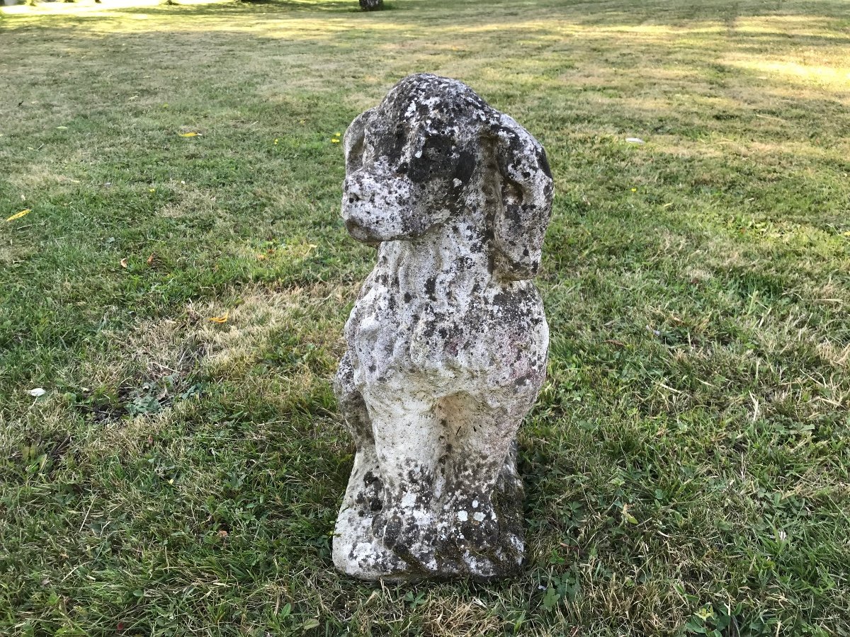 Small Dog In Reconstituted Stone XX Th Garden Or Terrace Decoration.-photo-4