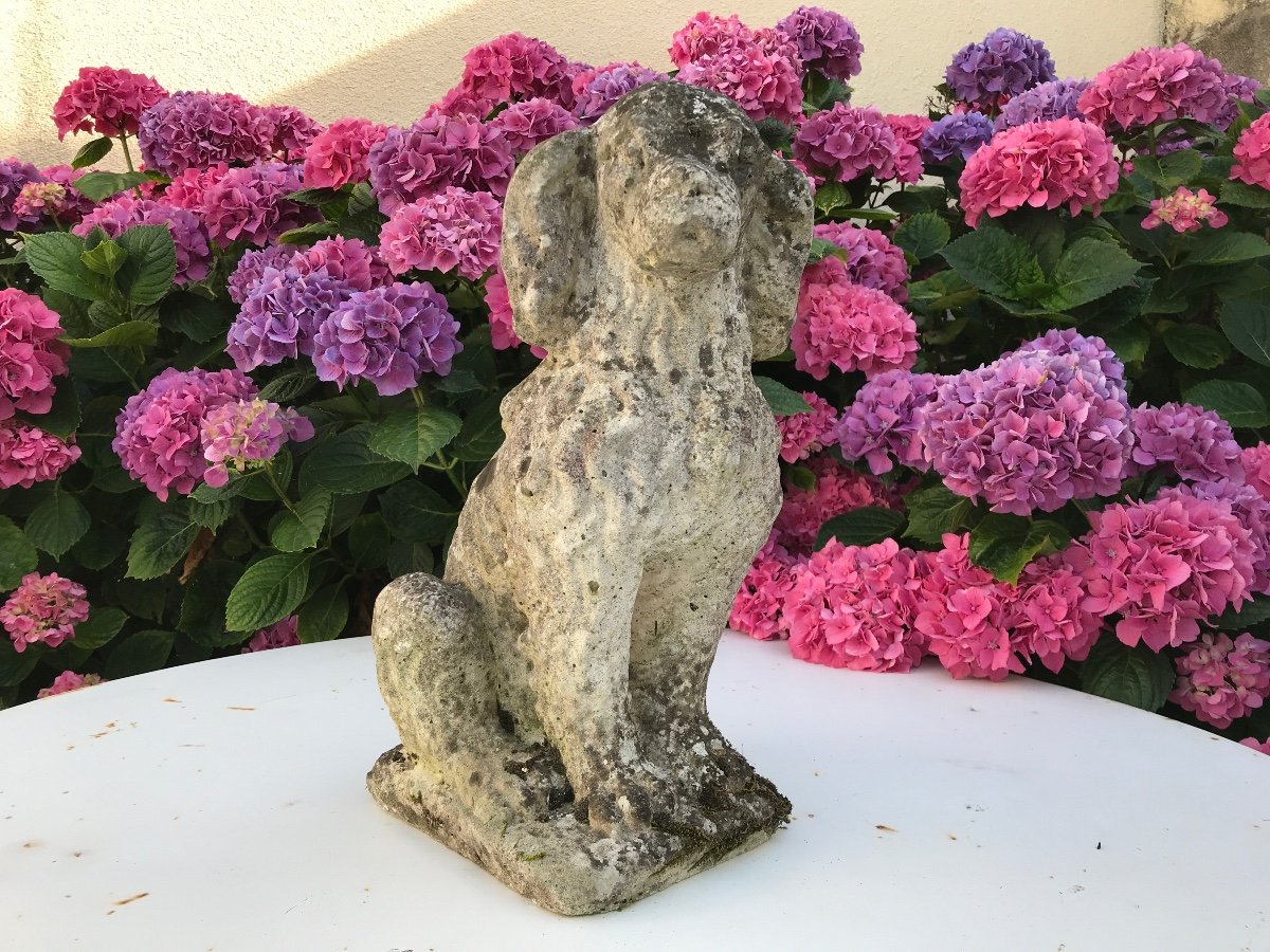 Small Dog In Reconstituted Stone XX Th Garden Or Terrace Decoration.-photo-5