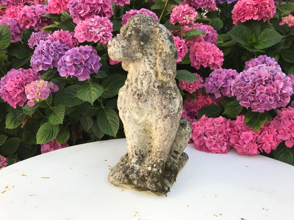 Small Dog In Reconstituted Stone XX Th Garden Or Terrace Decoration.-photo-6