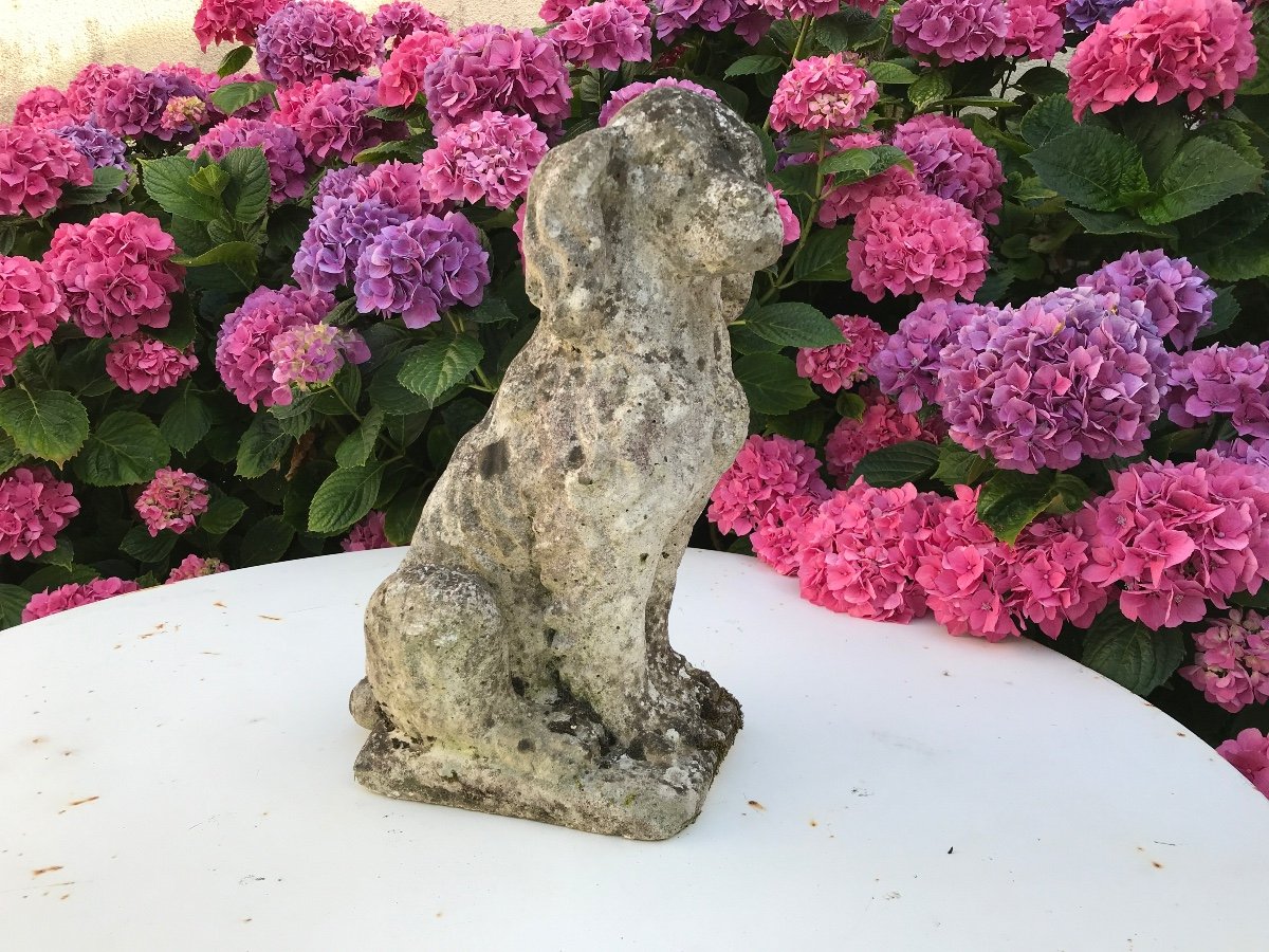 Small Dog In Reconstituted Stone XX Th Garden Or Terrace Decoration.