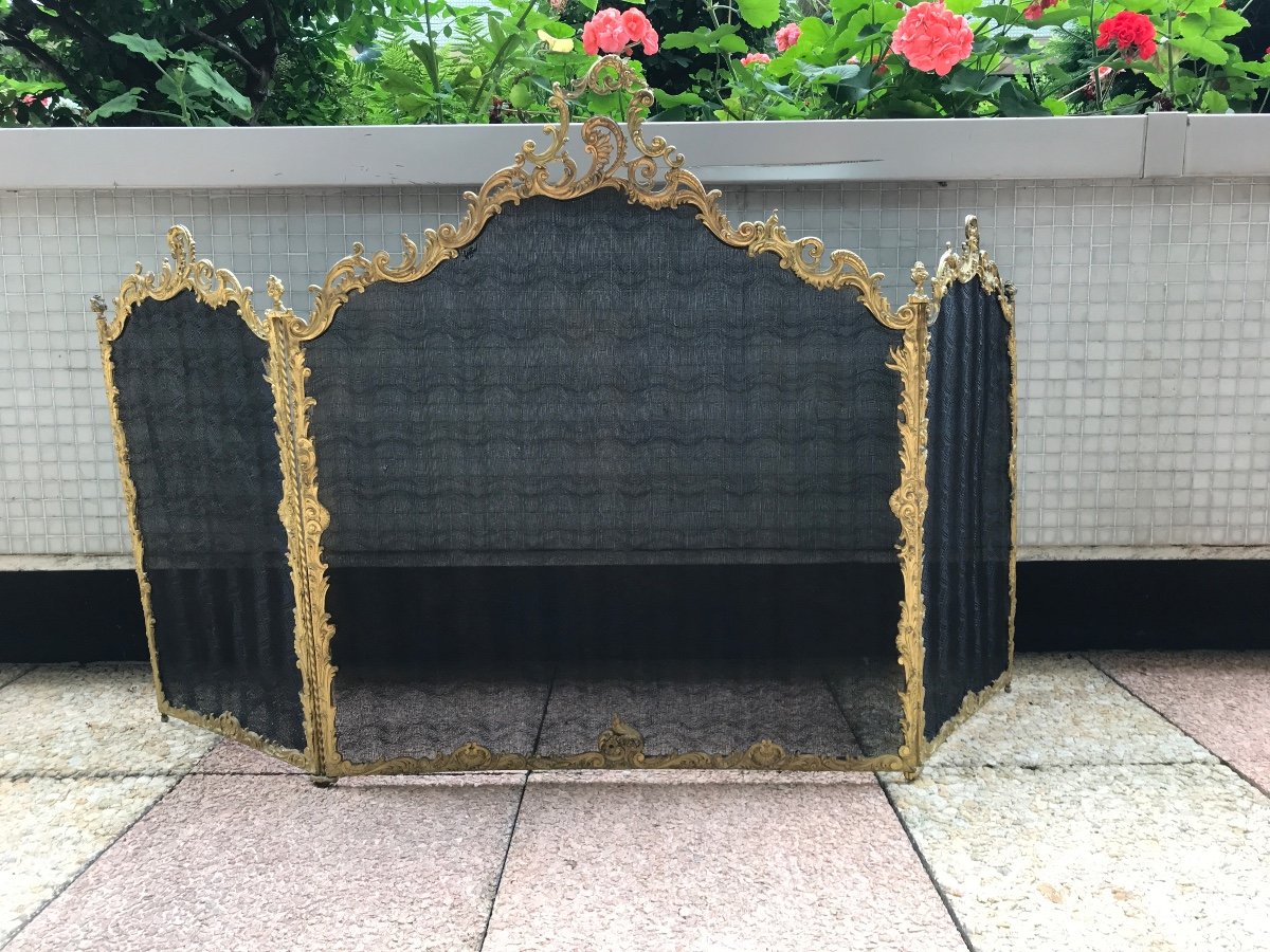 Beautiful 19th Century Bronze Fireplace Fire Screen, Louis XV Style 