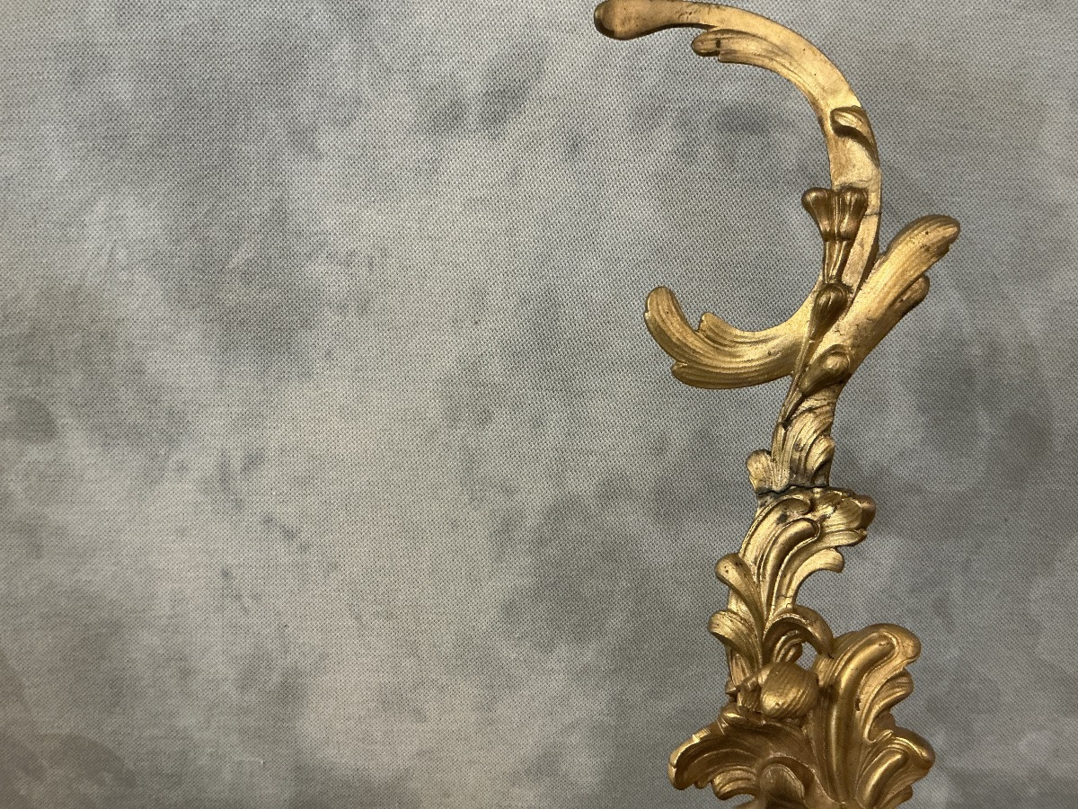 Paire de chenets ou  de décor de cheminée en bronze doré d’époque 19 ème de style Louis XV -photo-4