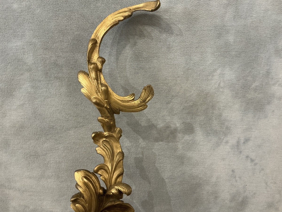 Paire de chenets ou  de décor de cheminée en bronze doré d’époque 19 ème de style Louis XV -photo-1