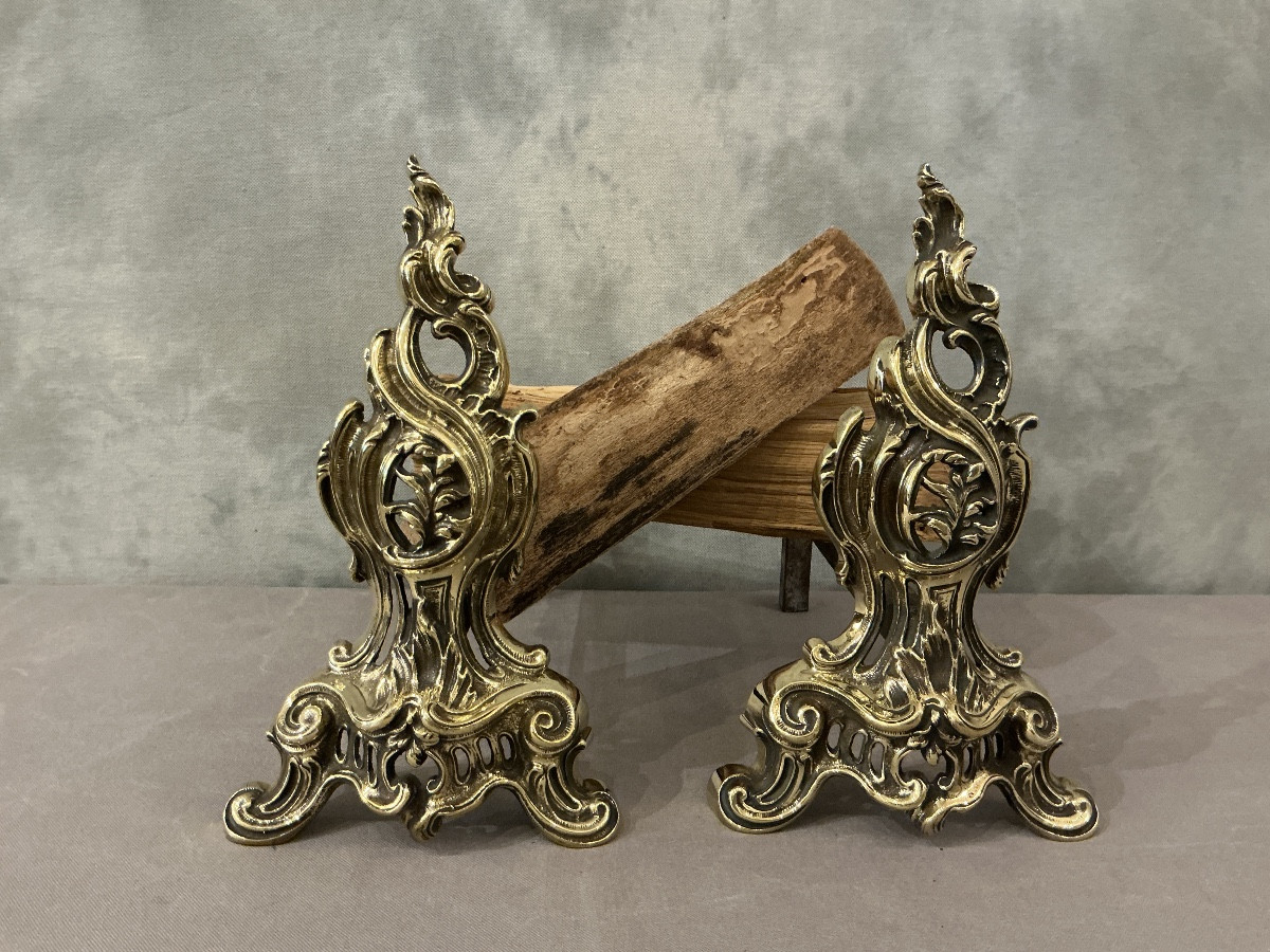 Pair Of Antique Polished Bronze Andirons In The Louis XV Style, Dating From The 19th Century 
