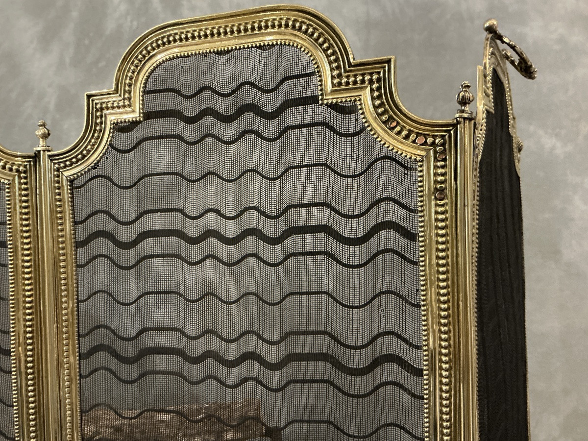 Antique Louis XVI Style Fireplace Screen From The Late 19th Century -photo-3