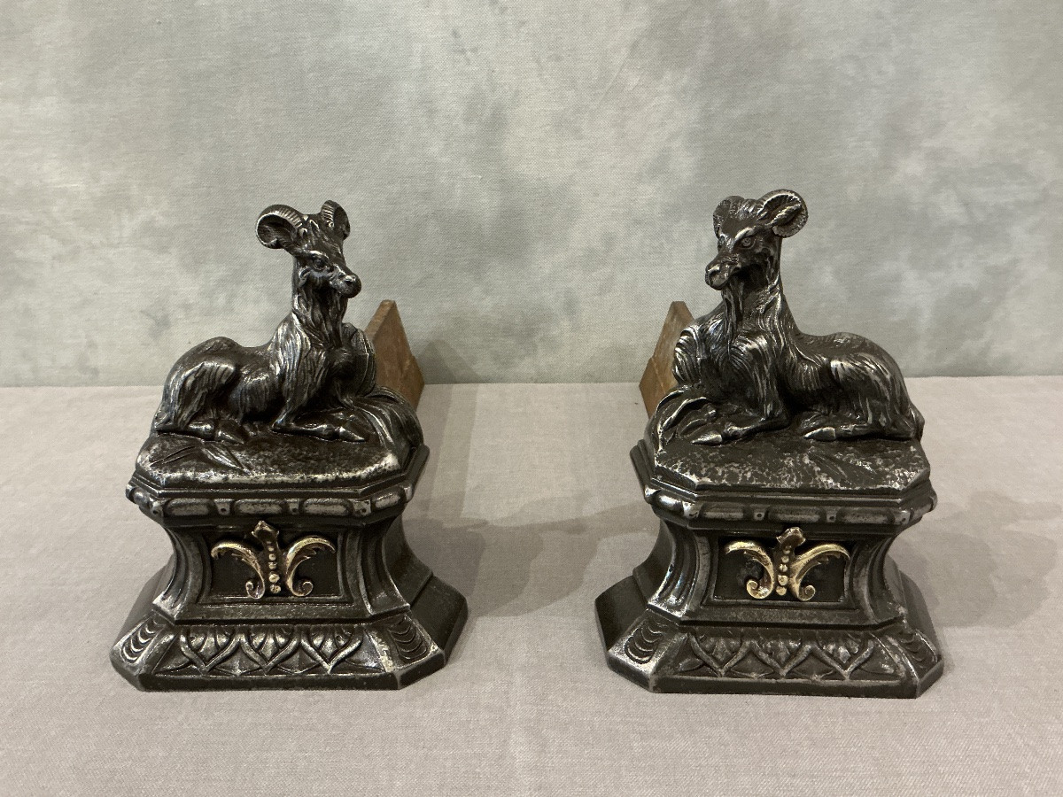 Paire de chenets anciens en fonte à décor de boucs  d’époque 19 ème -photo-3