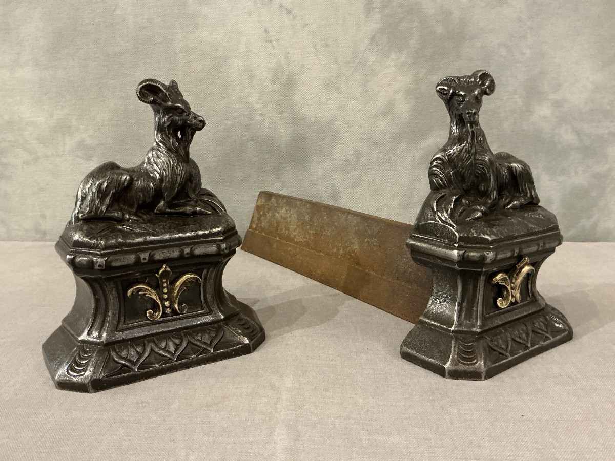 Paire de chenets anciens en fonte à décor de boucs  d’époque 19 ème -photo-4