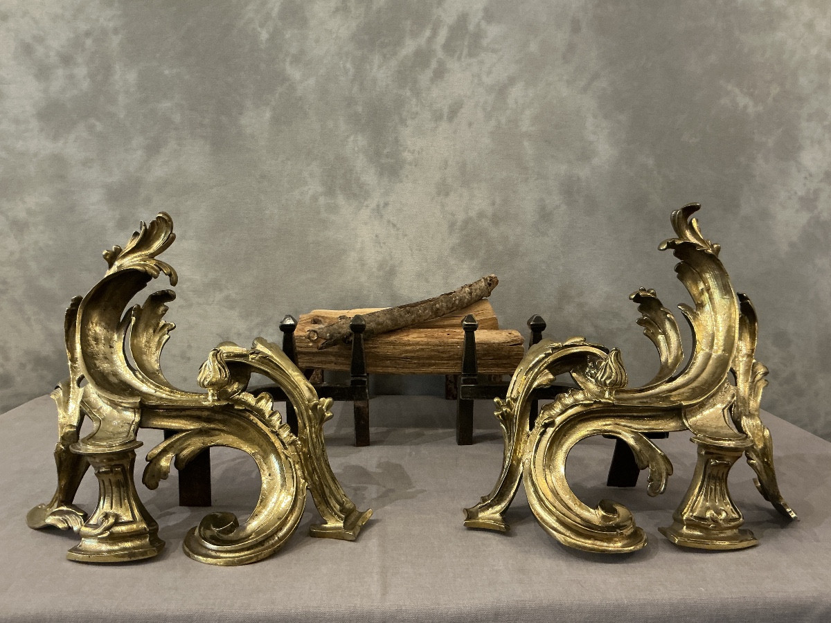 Paire de chenets anciens en bronze et fer d’époque 19 ème 