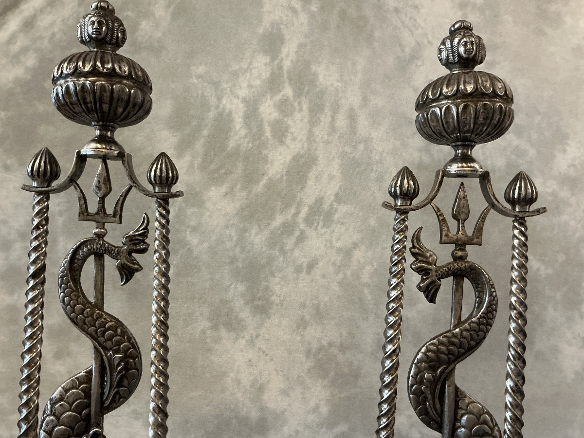 Large Pair Of 19th Century Wrought Iron Andirons-photo-1