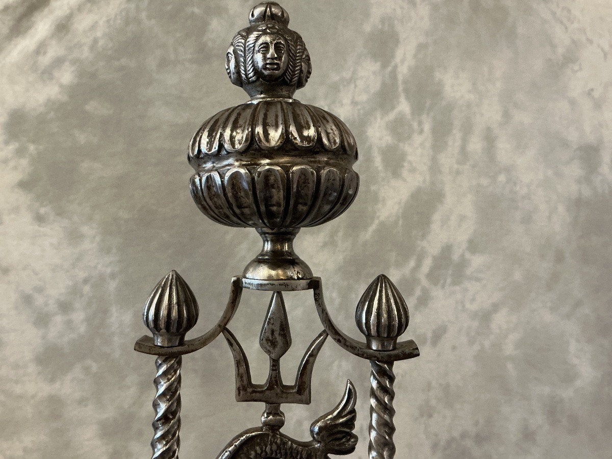 Large Pair Of 19th Century Wrought Iron Andirons-photo-2