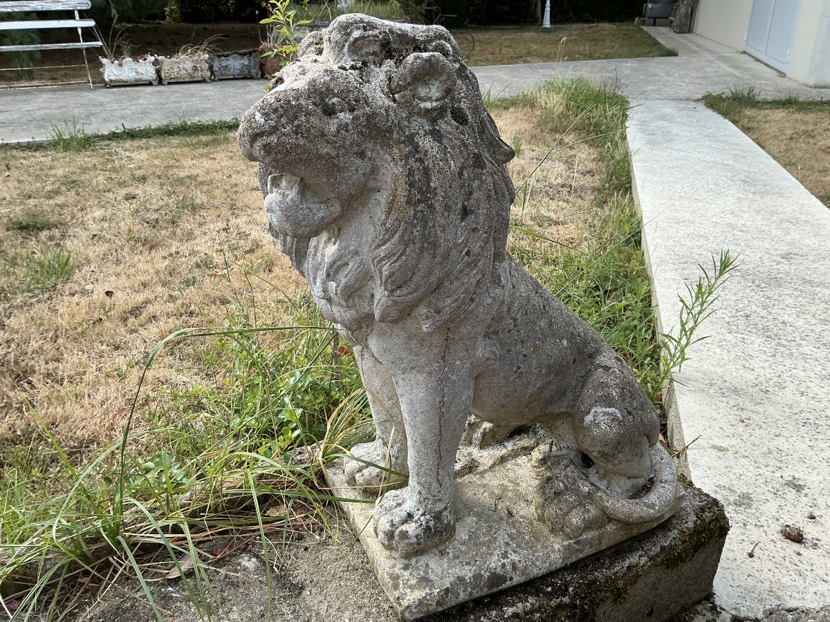 Lion  en pierre reconstituée décor de jardin début XX ème -photo-3