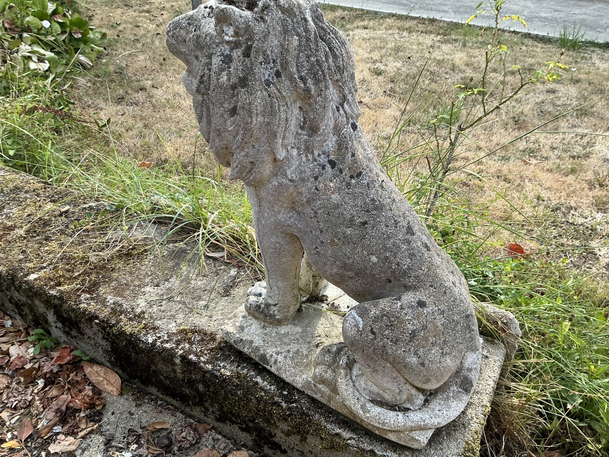 Lion  en pierre reconstituée décor de jardin début XX ème -photo-1