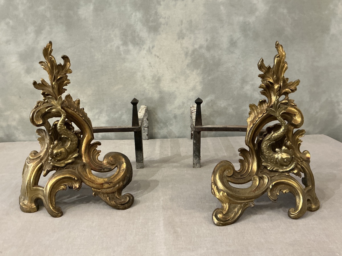 Pair Of Antique 19th-century Bronze And Brass Andirons -photo-2
