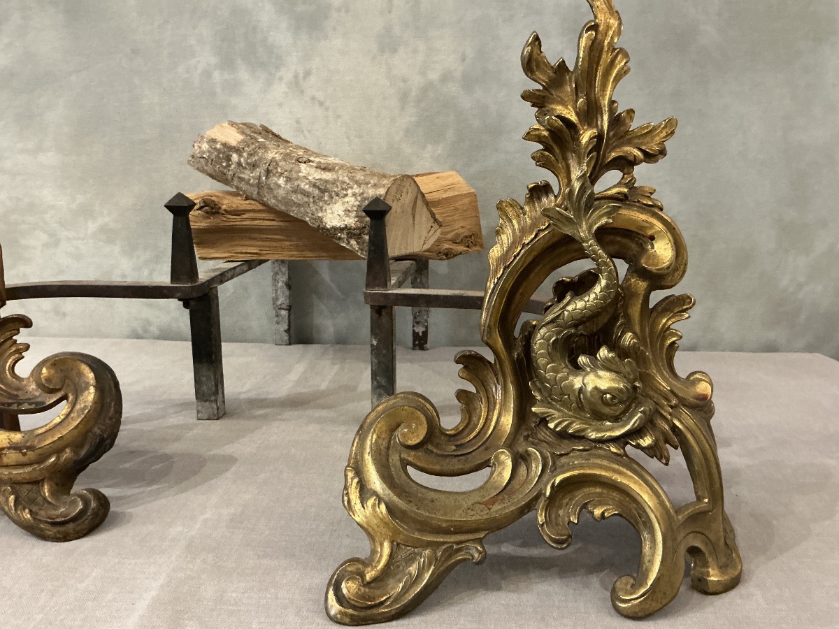 Pair Of Antique 19th-century Bronze And Brass Andirons -photo-3