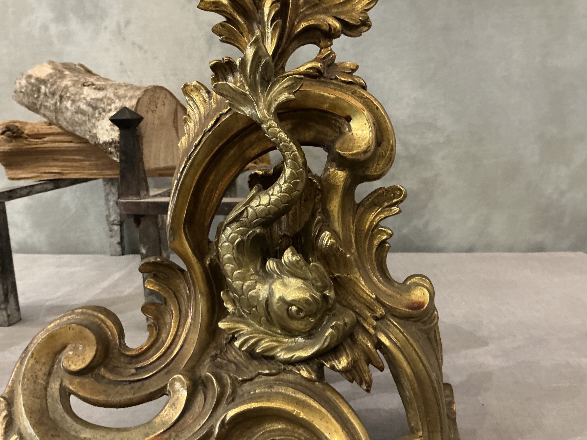 Pair Of Antique 19th-century Bronze And Brass Andirons -photo-4