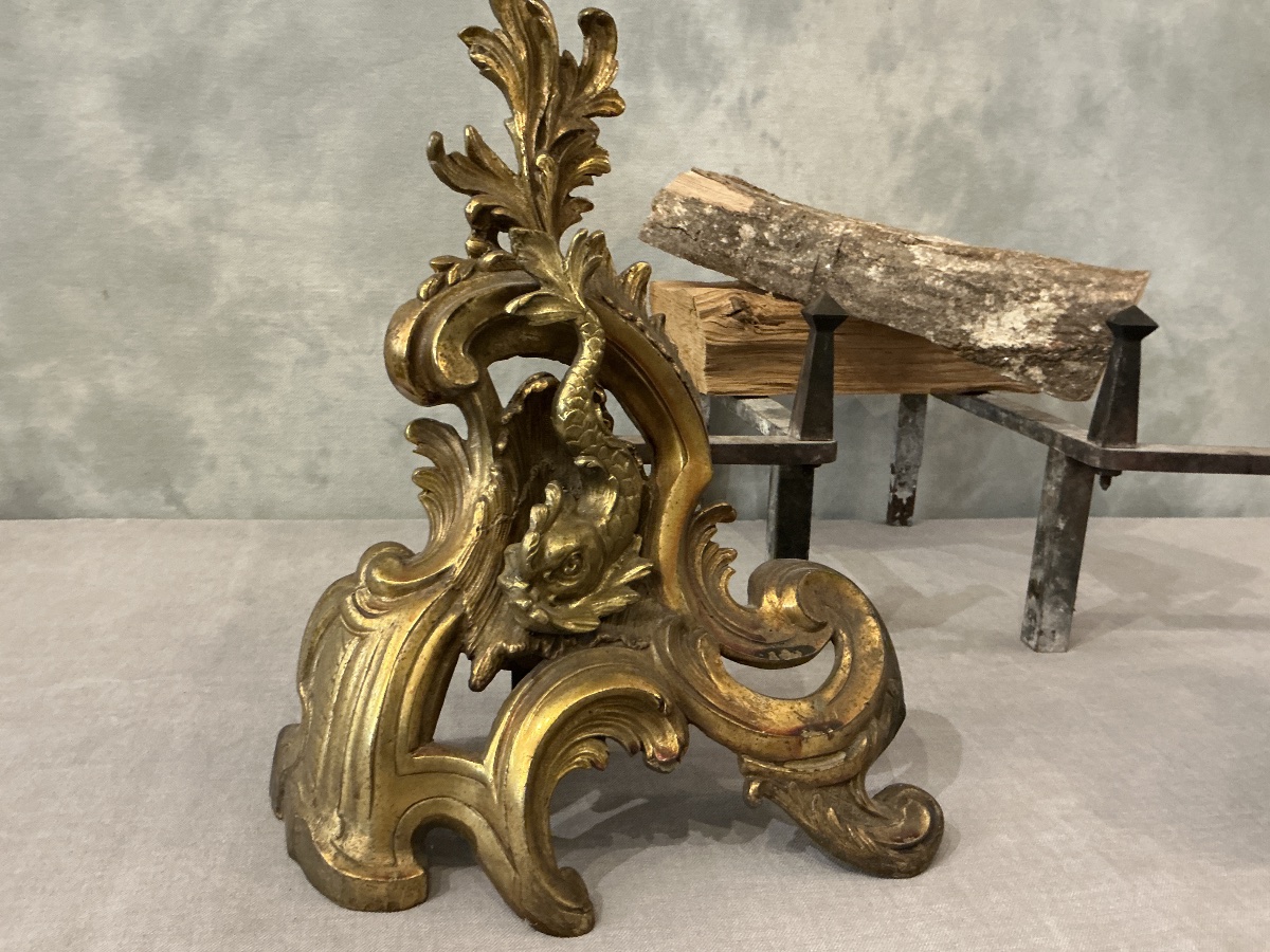 Pair Of Antique 19th-century Bronze And Brass Andirons -photo-1