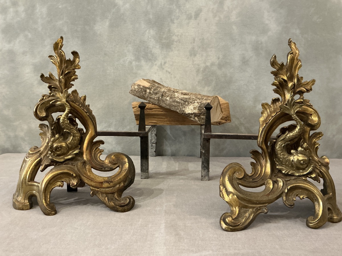 Pair Of Antique 19th-century Bronze And Brass Andirons -photo-2