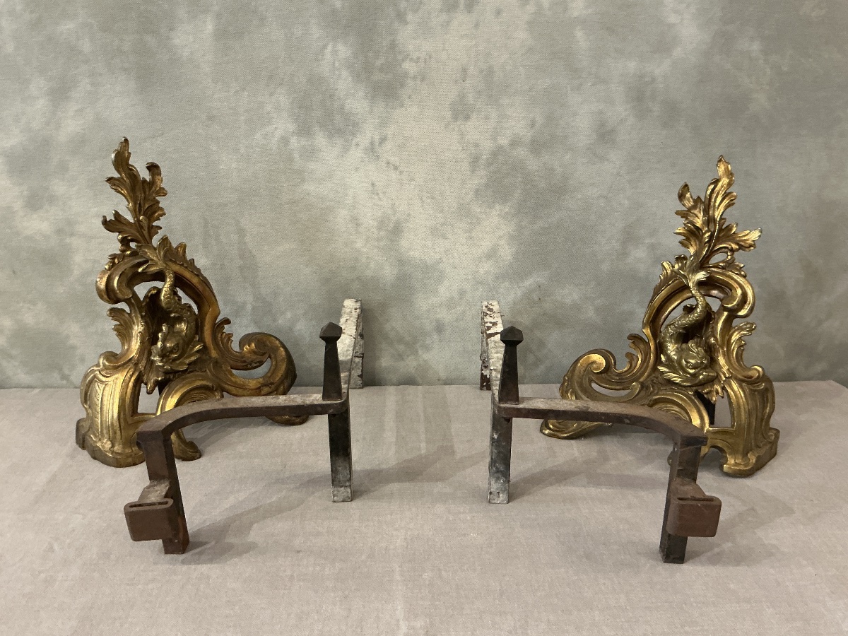 Pair Of Antique 19th-century Bronze And Brass Andirons -photo-3