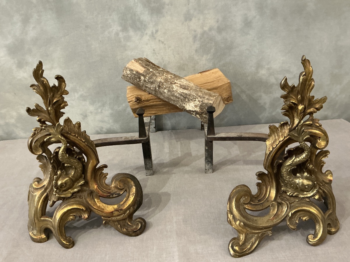 Pair Of Antique 19th-century Bronze And Brass Andirons 