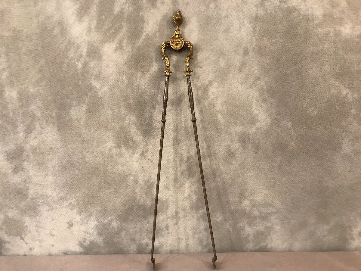 Beautiful Pince In Iron & Vintage Bronze 19th