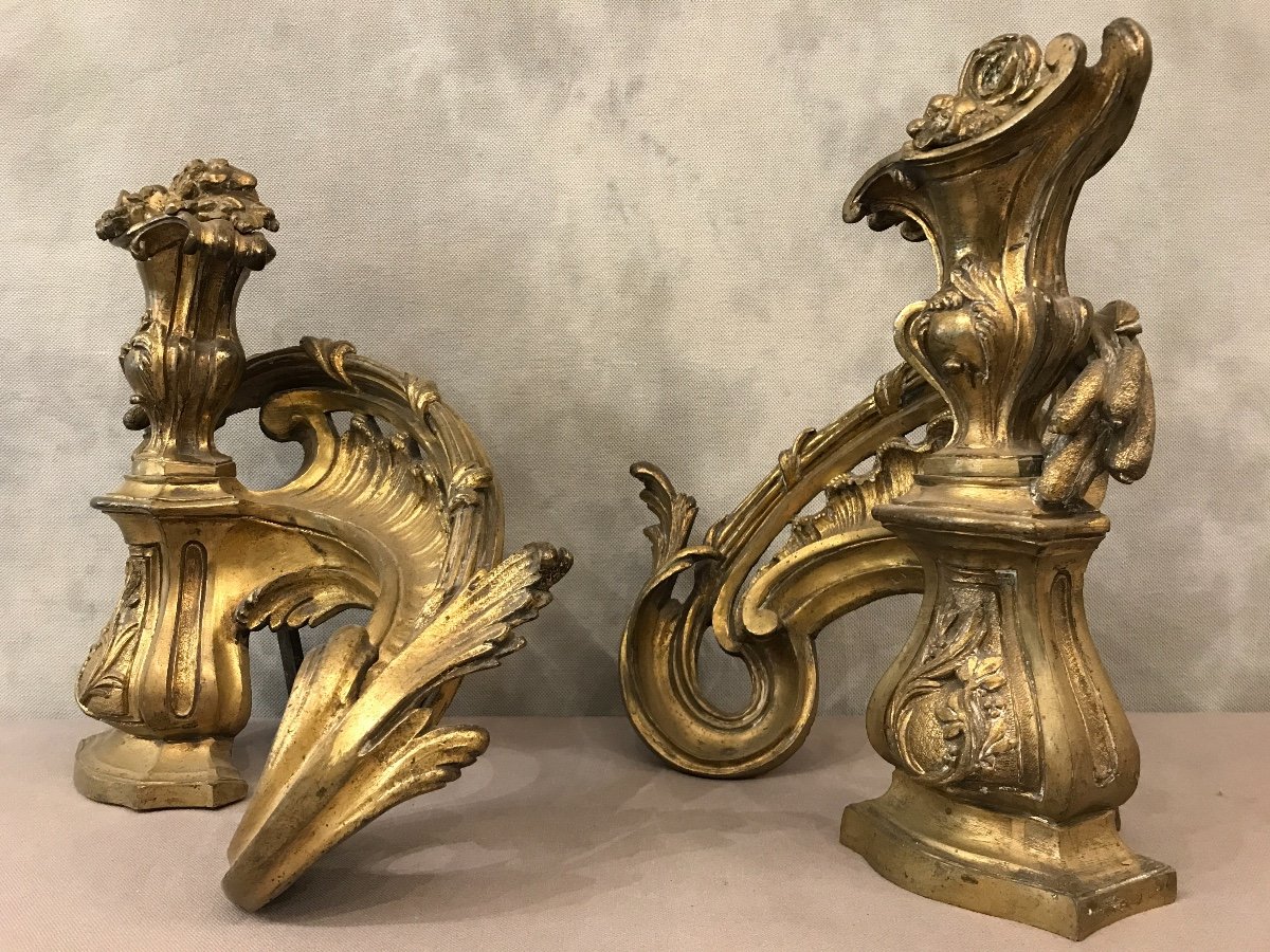 Pair Of Andirons Bronze Louis XV 19th-photo-1