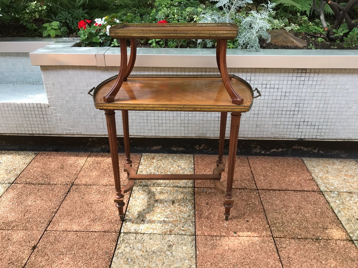 Tea Table Marquetry Rosewood 19th-photo-4