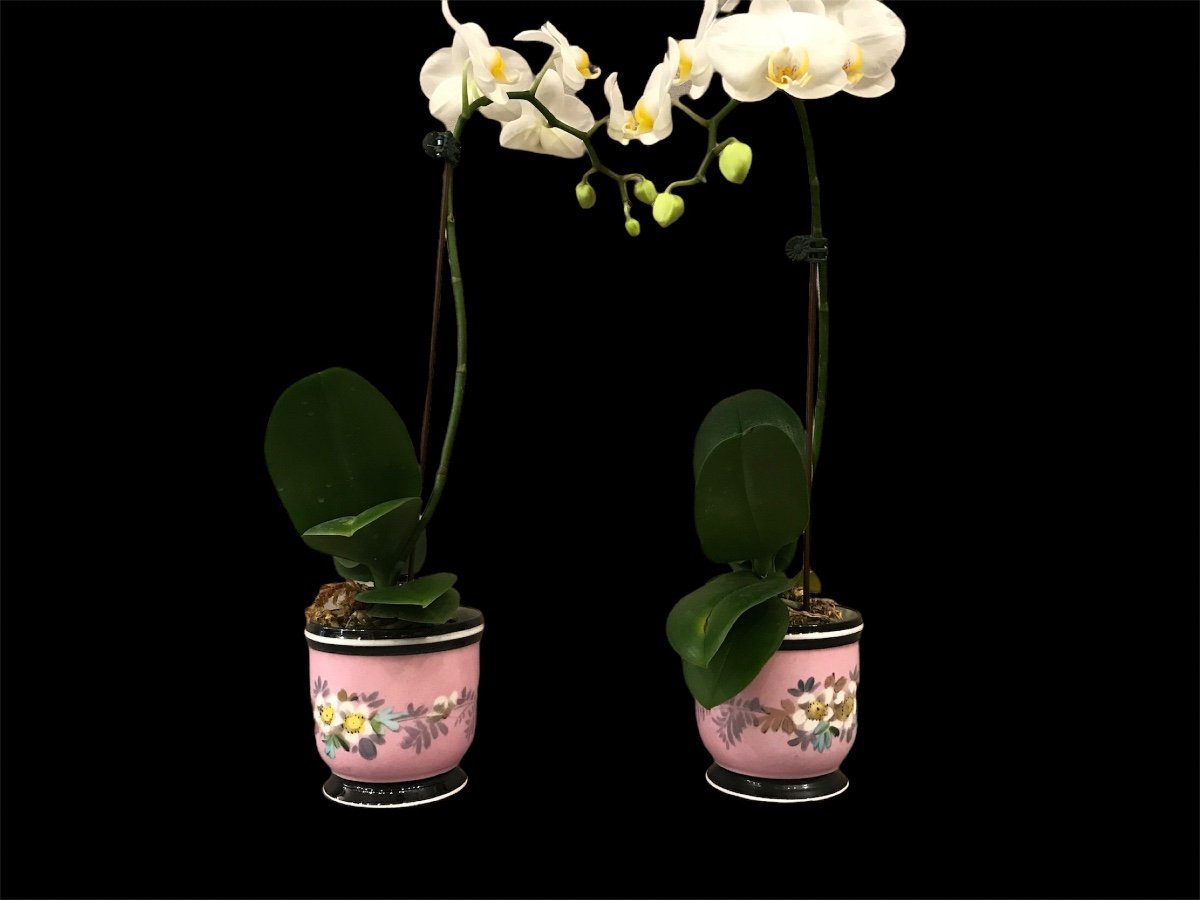 Pair Of Mini Pots In Vintage Porcelain 19th