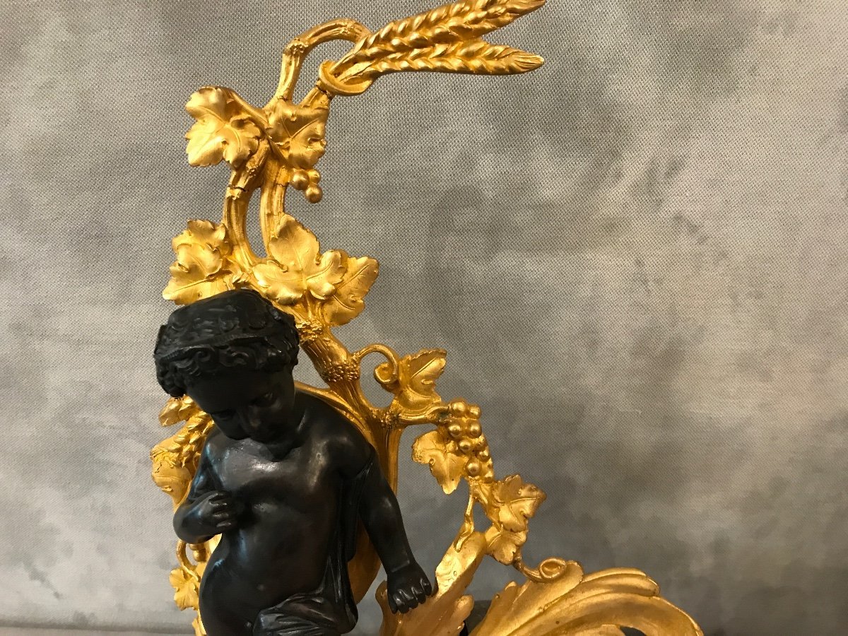 Pair Of Andirons In Gilded Bronze And Patinated Bronze From The 19th Century -photo-4