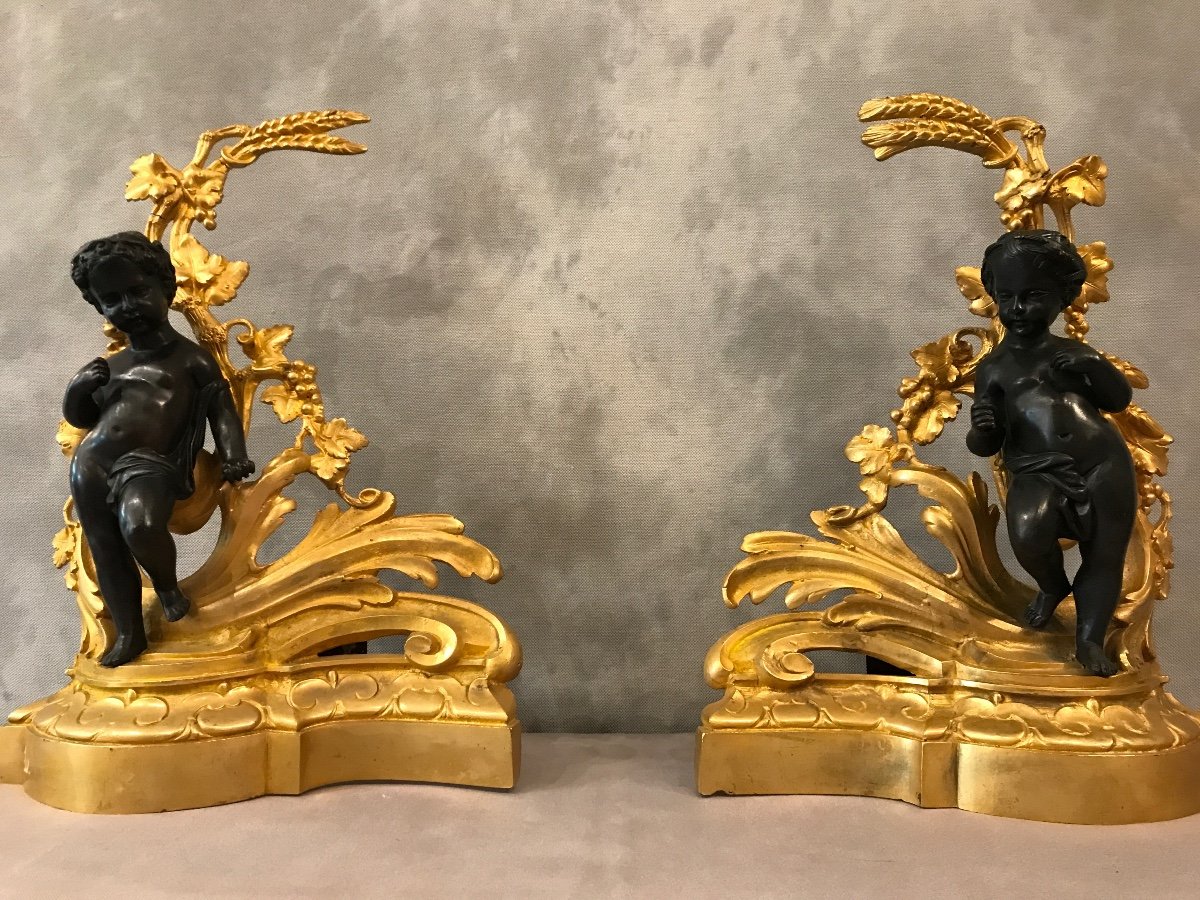 Paire De Chenets En Bronze Doré  Et Bronze Patiné D’époque 19ème -photo-1