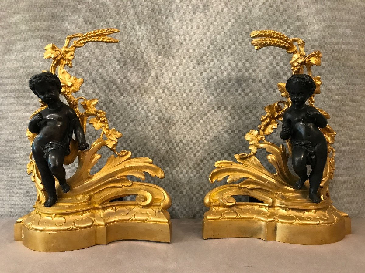 Paire De Chenets En Bronze Doré  Et Bronze Patiné D’époque 19ème 