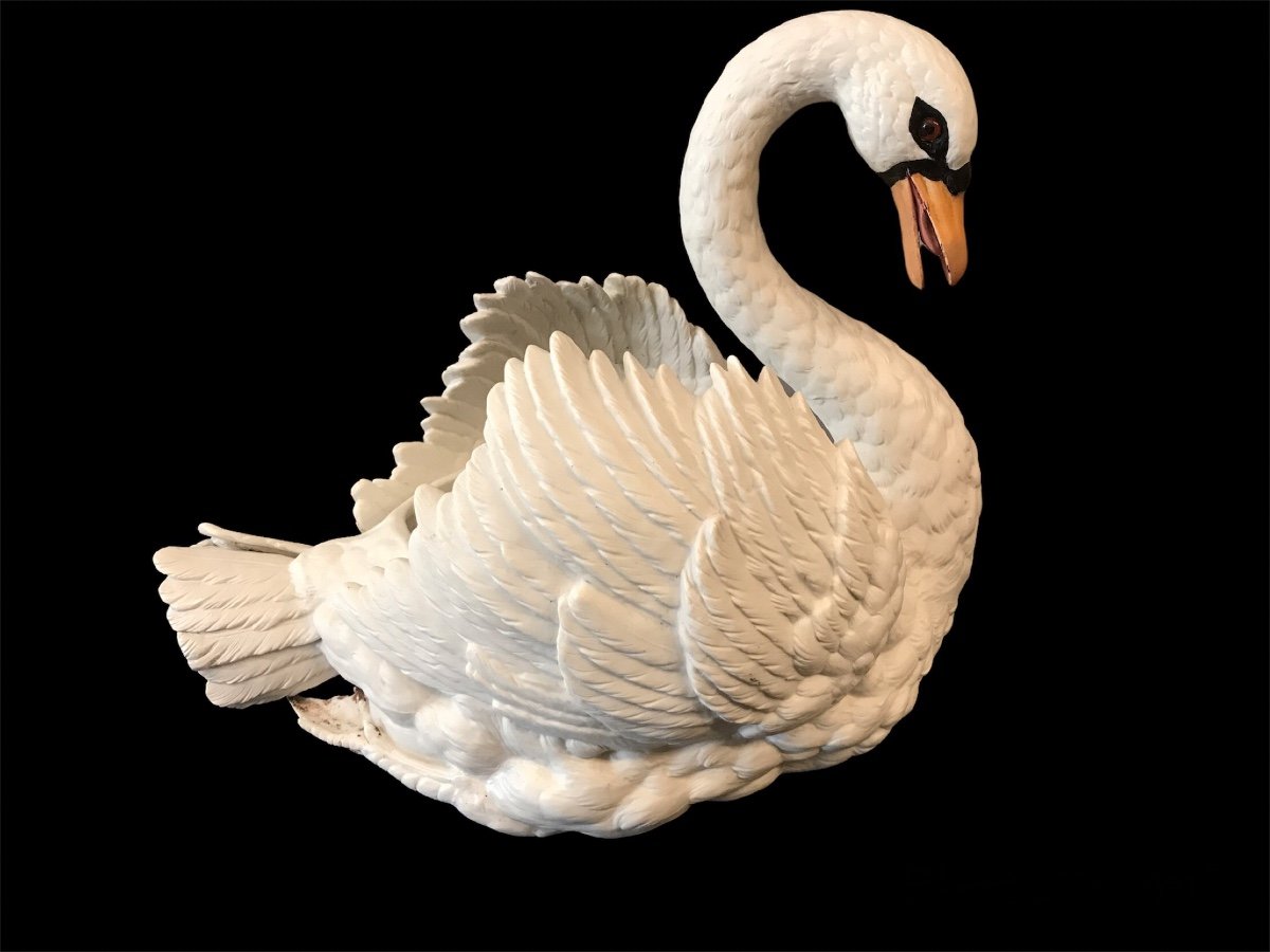 Grand Cygne En Porcelaine De Biscuit D’époque 19ème( Grand Cache- Pot)-photo-3