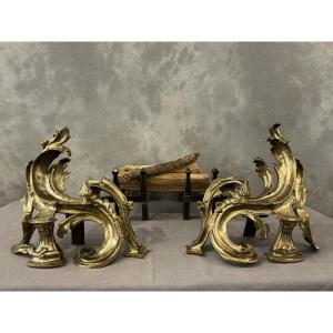 Paire de chenets anciens en bronze et fer d’époque 19 ème 
