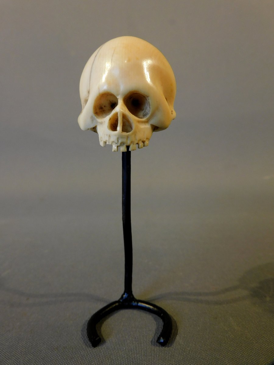 Memento Mori crane ivoire 18eme si;ecle-photo-4