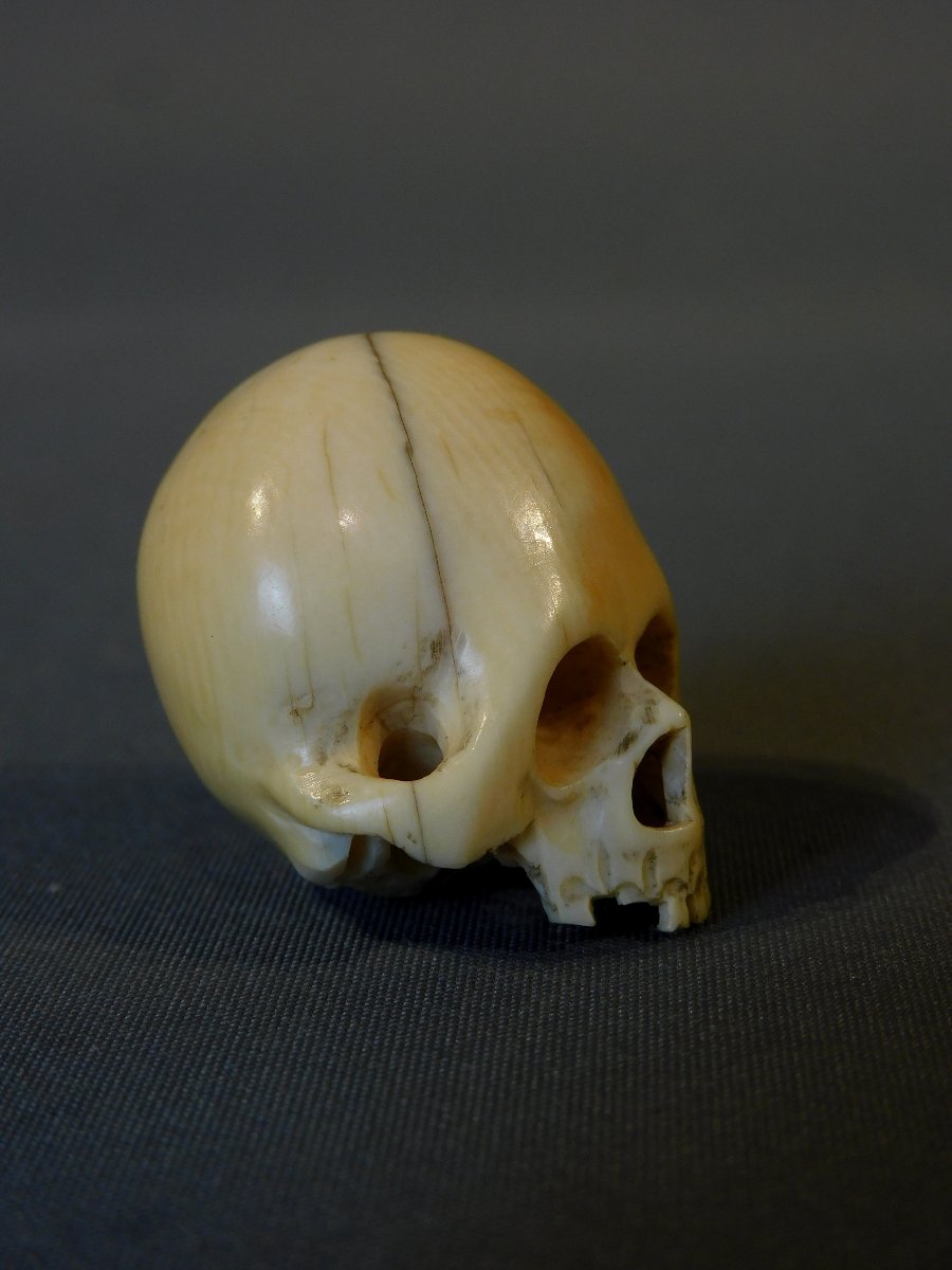 Memento Mori crane ivoire 18eme si;ecle-photo-2