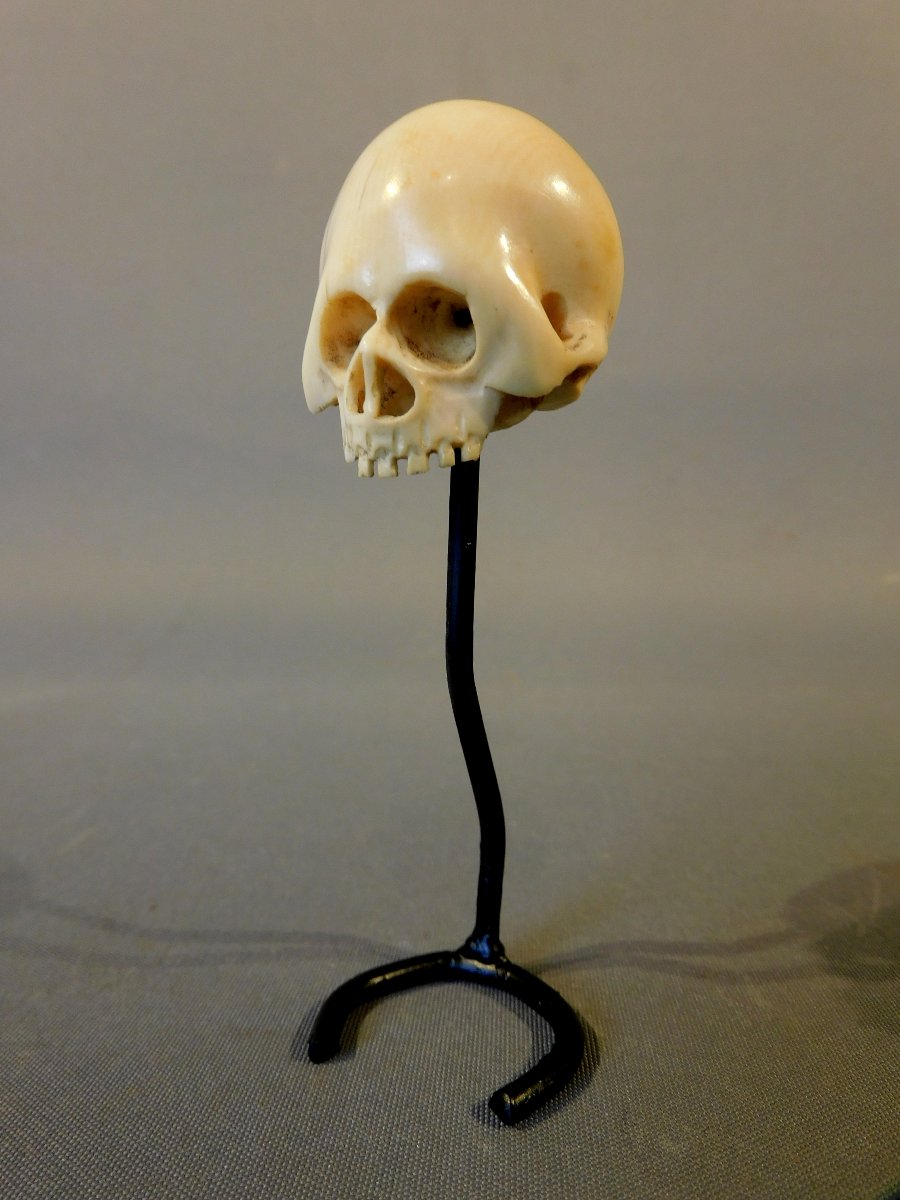 Memento Mori crane ivoire 18eme si;ecle-photo-5