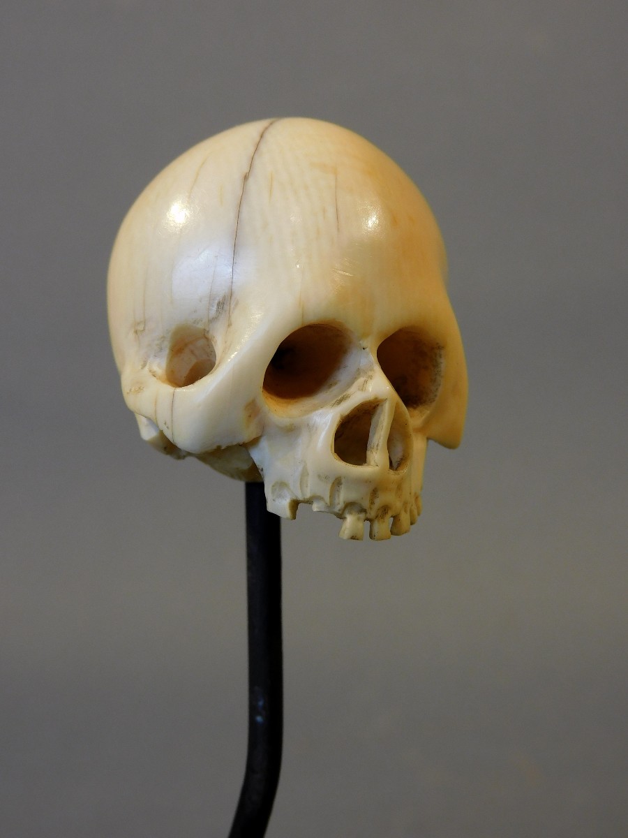 Memento Mori crane ivoire 18eme si;ecle