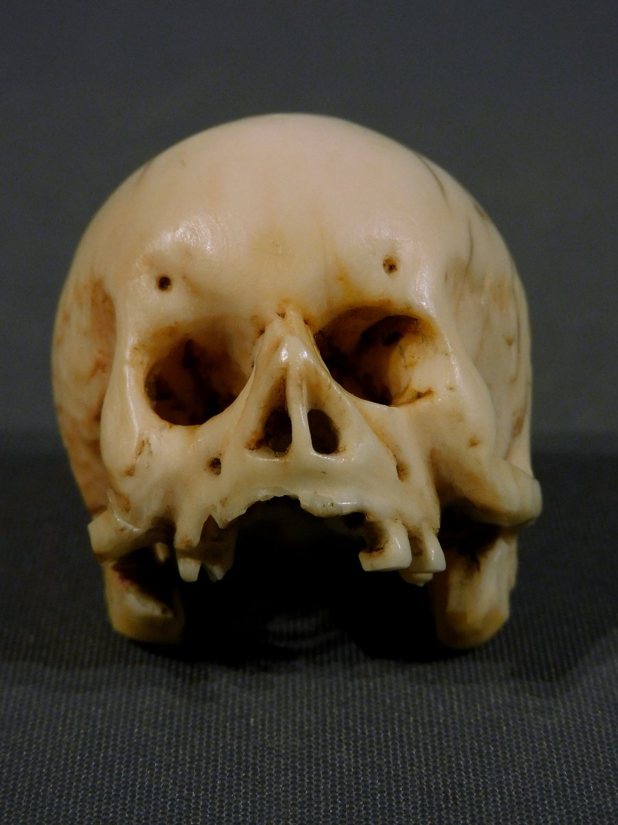 Memento Mori  crane ivoire 17eme - 18eme si;ecle   -photo-2