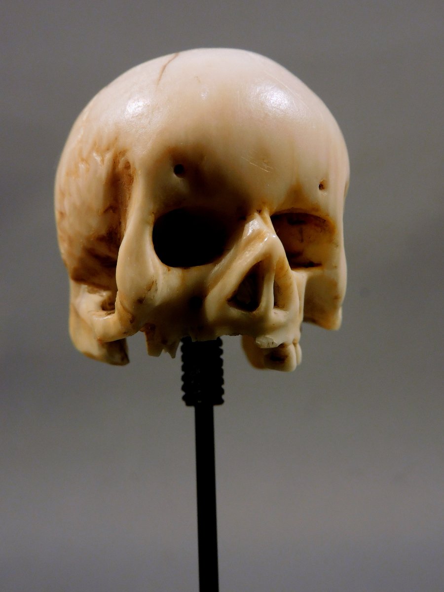 Memento Mori  crane ivoire 17eme - 18eme si;ecle   -photo-3