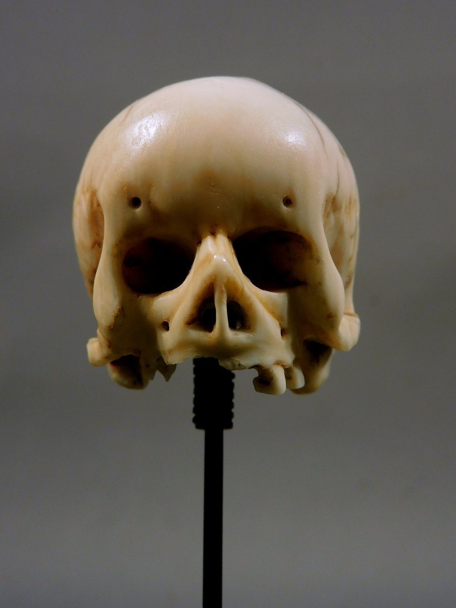 Memento Mori  crane ivoire 17eme - 18eme si;ecle   -photo-4