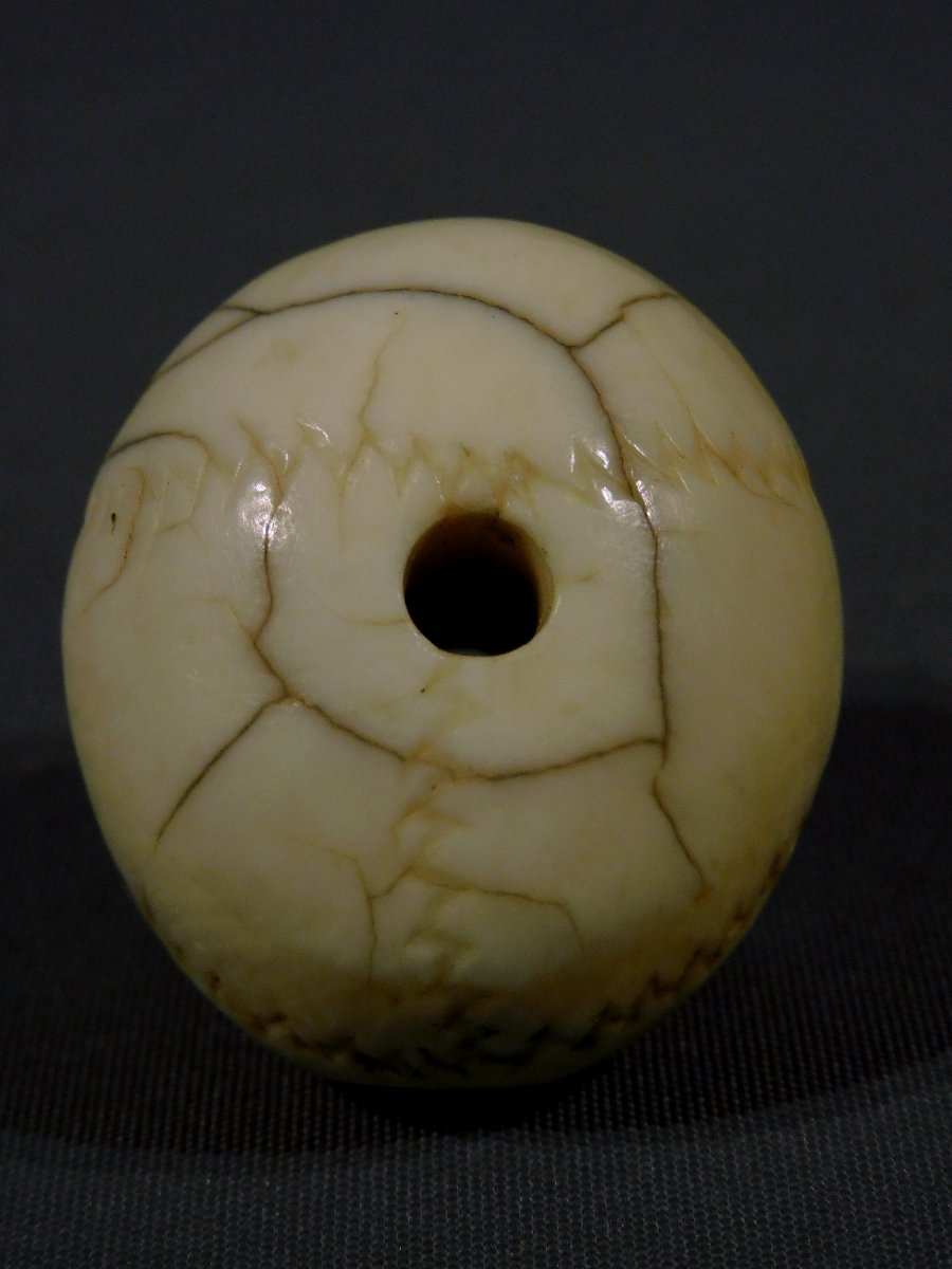 Memento Mori  crane ivoire 17eme - 18eme si;ecle   -photo-3