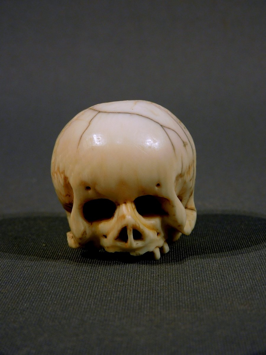 Memento Mori  crane ivoire 17eme - 18eme si;ecle   -photo-4