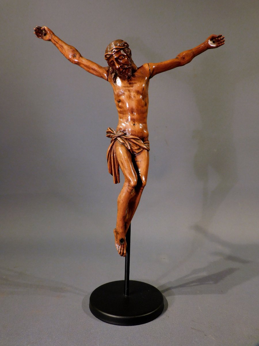 Corpus Christ  en buis sculpté  XVIIIe siécle -photo-2