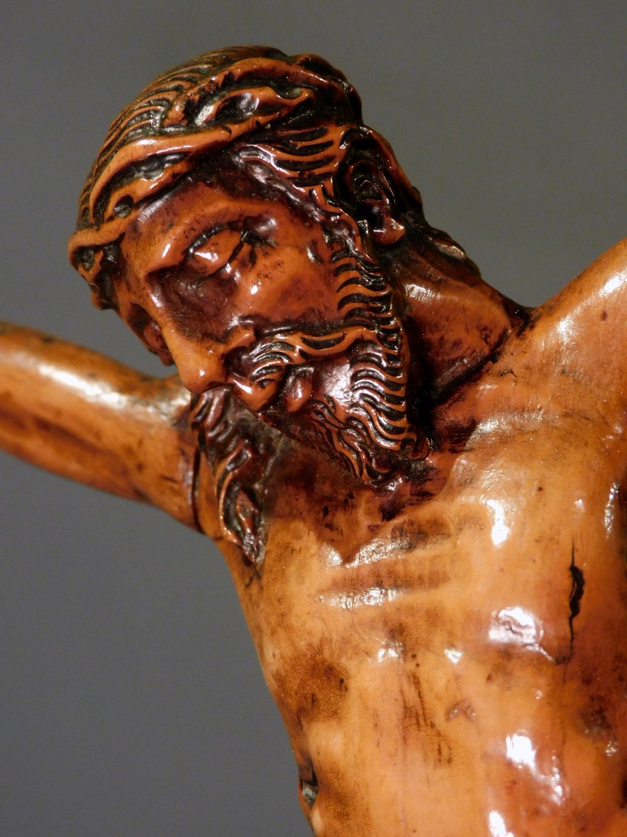 Corpus Christ  en buis sculpté  XVIIIe siécle -photo-2