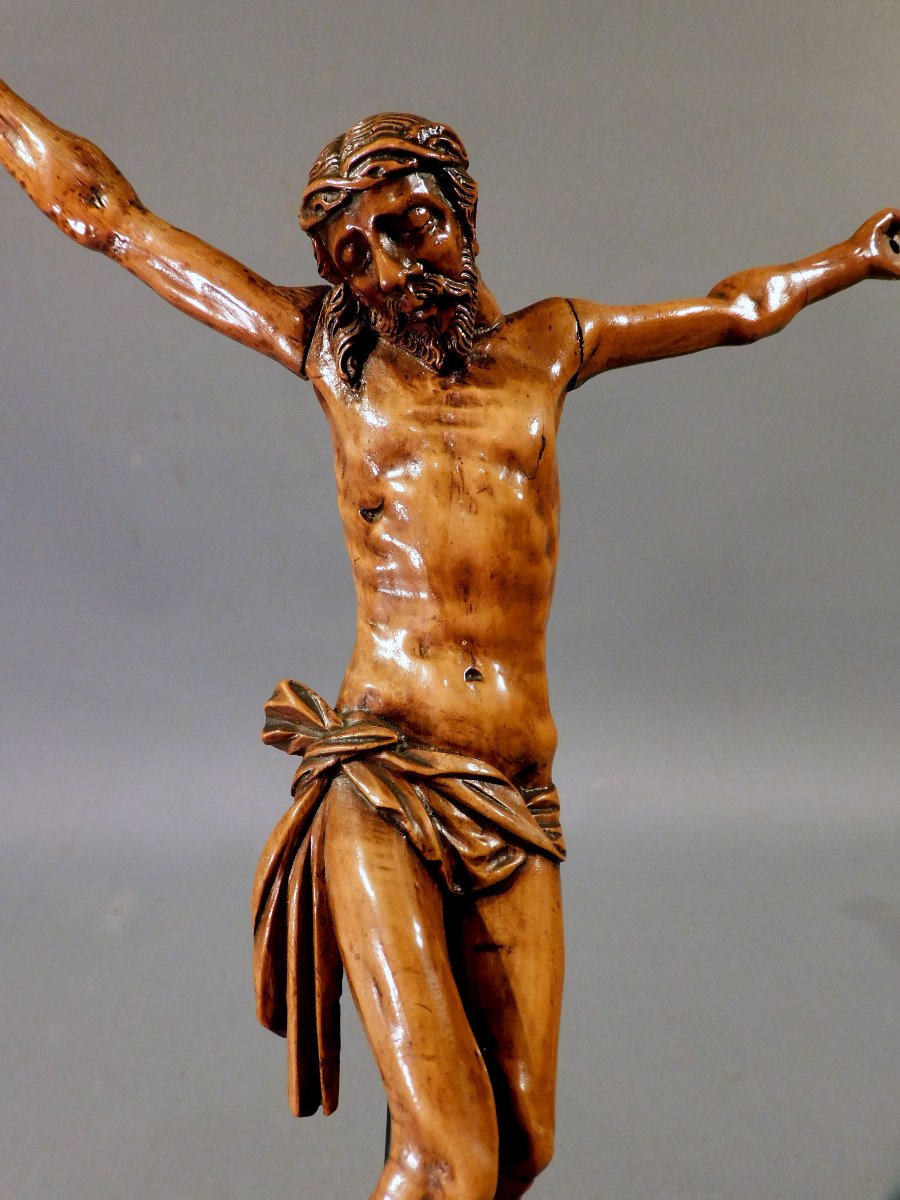 Corpus Christ  en buis sculpté  XVIIIe siécle -photo-3