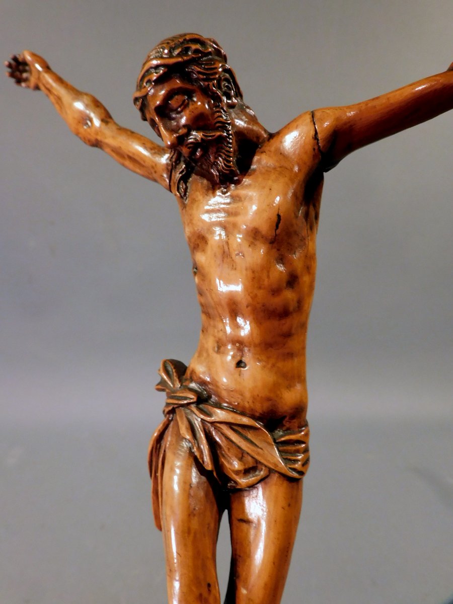 Corpus Christ  en buis sculpté  XVIIIe siécle -photo-4