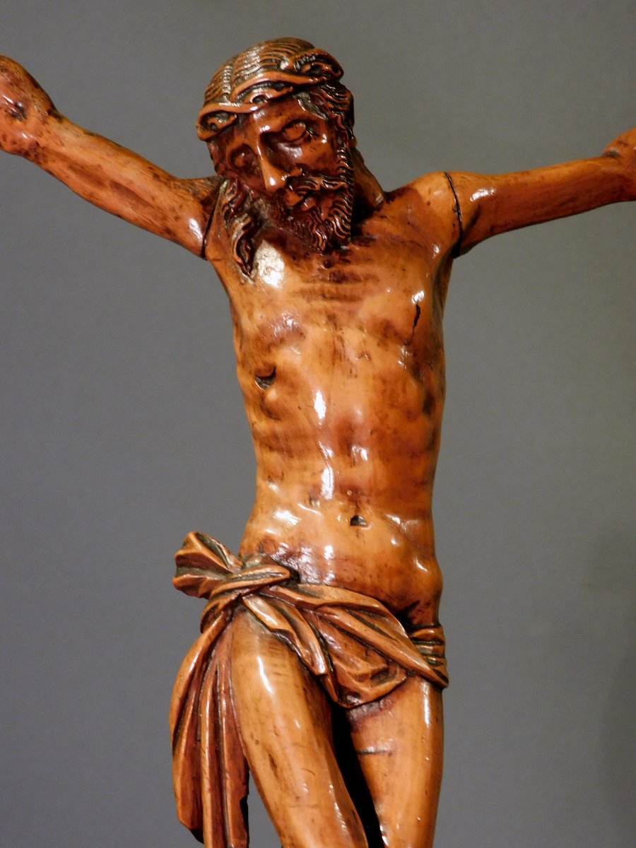 Corpus Christ  en buis sculpté  XVIIIe siécle -photo-6