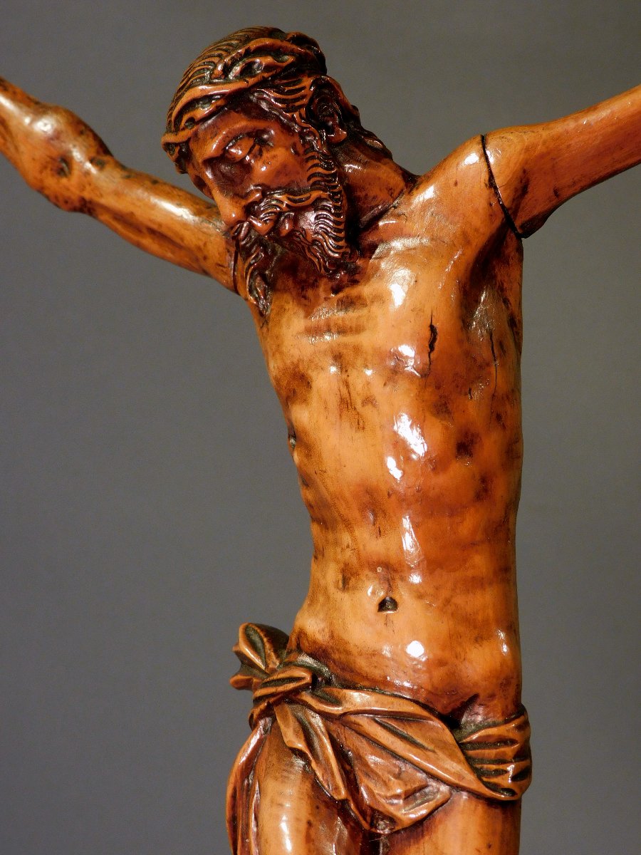 Corpus Christ  en buis sculpté  XVIIIe siécle -photo-7